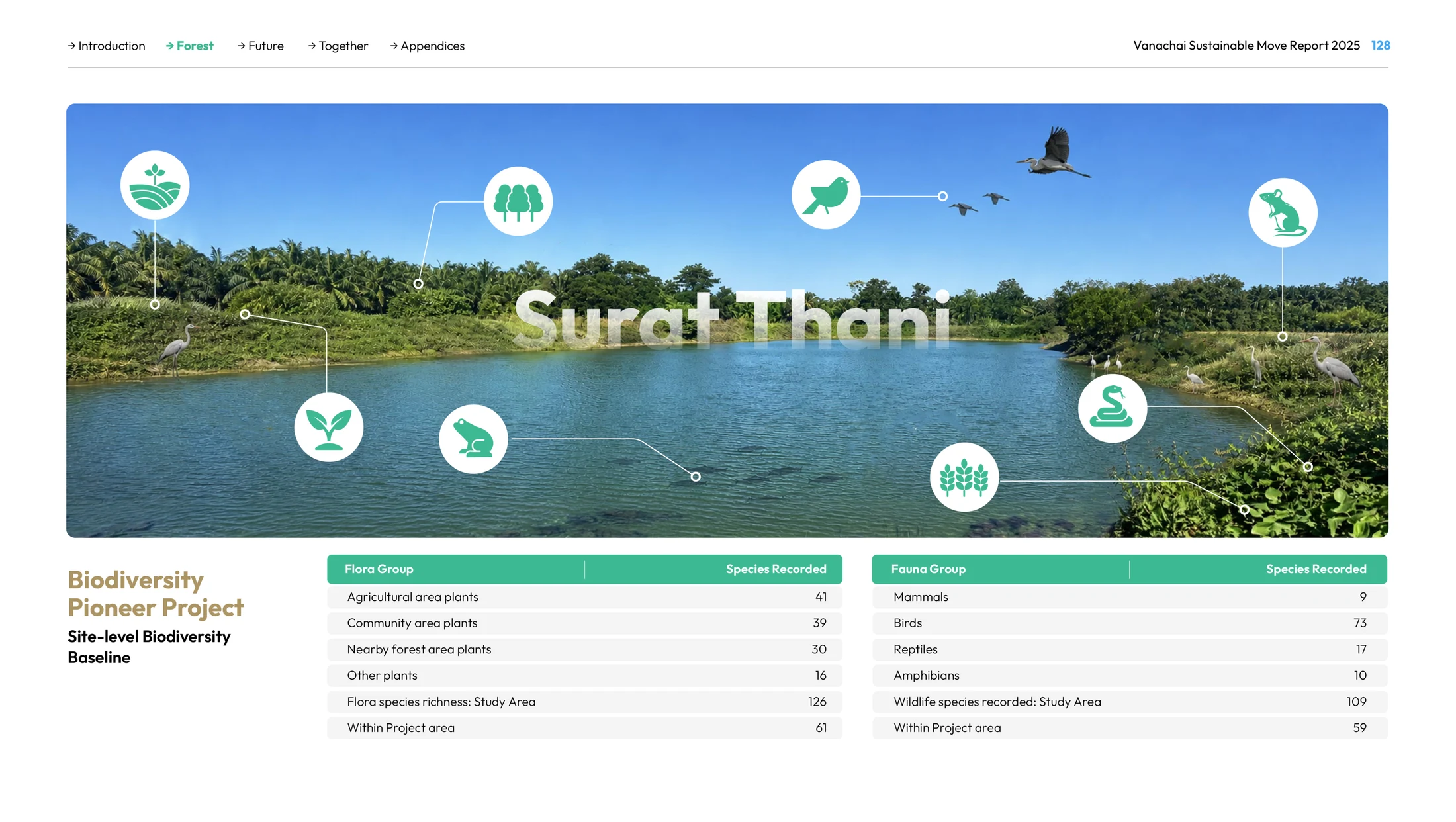 Biodiversity study area at Vanachai’s Surat Thani site